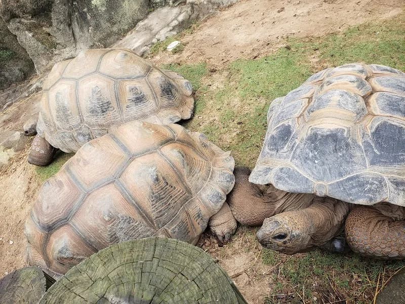 View of City of Greensboro - Country Park in Greensboro, NC