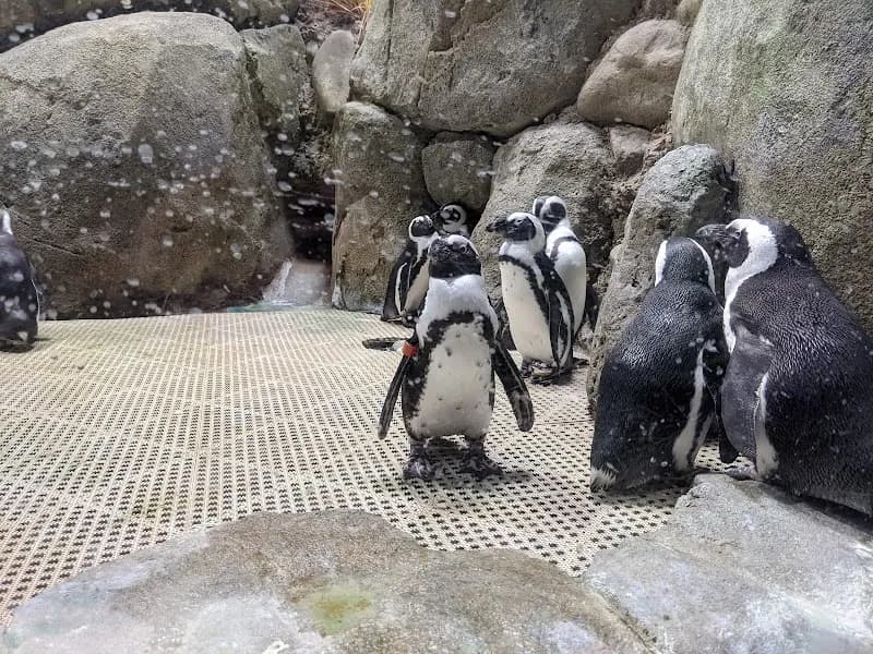 View of City of Greensboro - Country Park in Greensboro, NC
