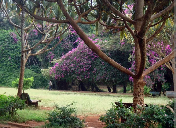 City Park park in Nairobi, NBO