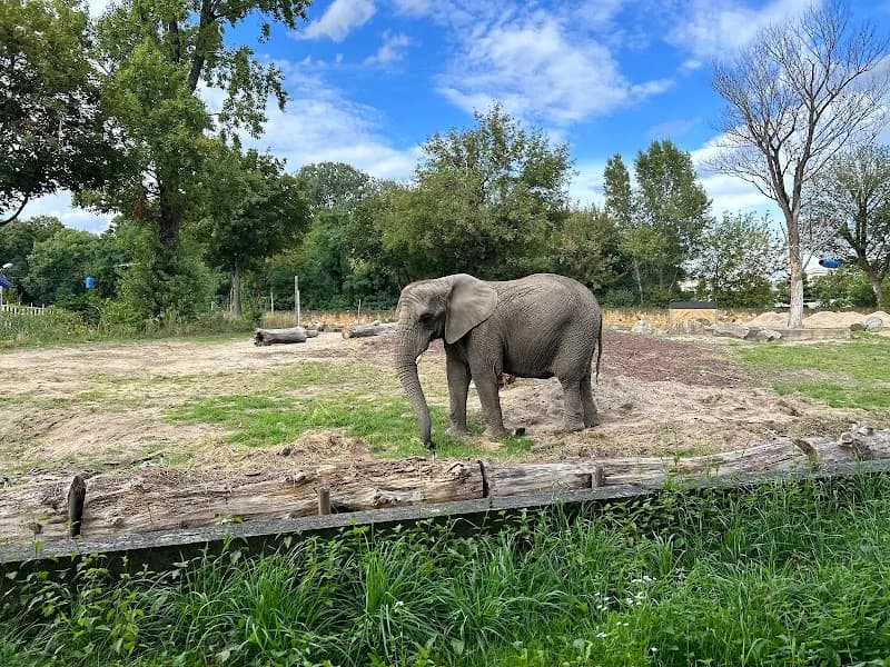 City Zoological Garden in Warsaw zoo in Warsaw, MZ