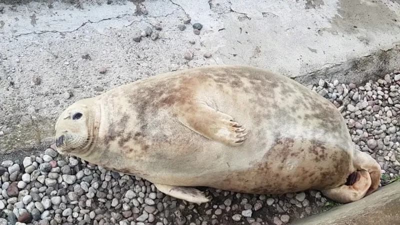 View of City Zoological Garden in Warsaw in Warsaw, MZ