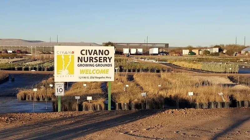 View of Civano Growers - Wholesale Plant Nursery in Civano, AZ