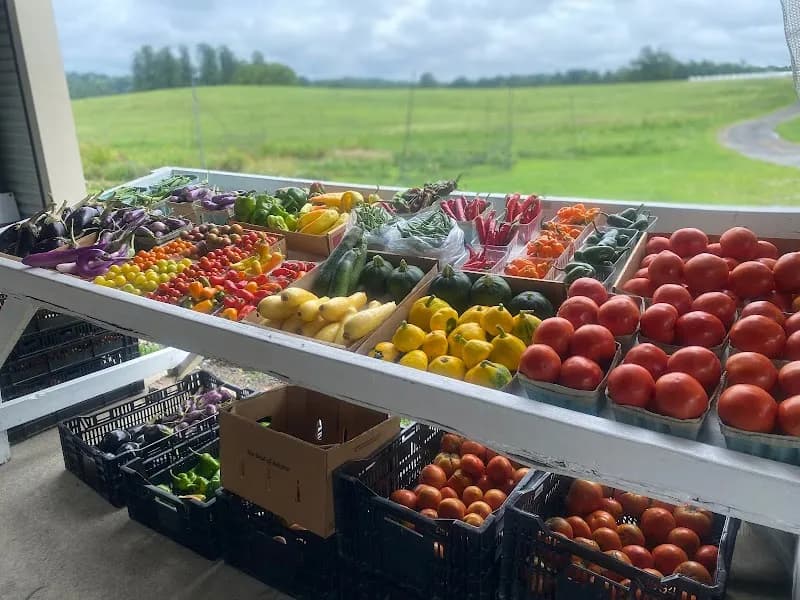 Clark's Farm (produce at Clark’s Elioak Farm) food store in Ellicott City, MD