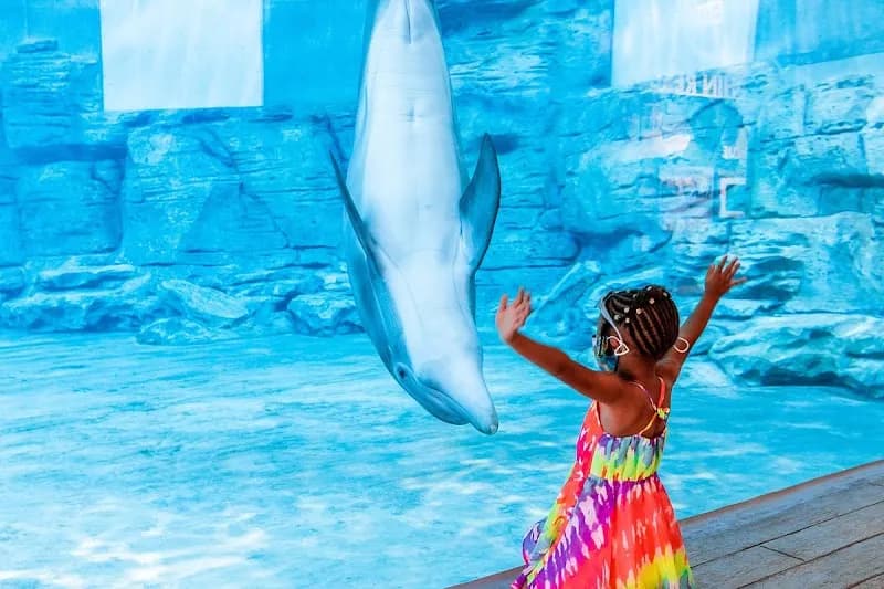 Clearwater Marine Aquarium aquarium in Clearwater, FL