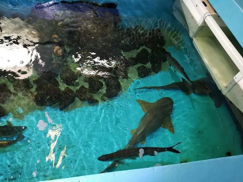 View of Clearwater Marine Aquarium in Clearwater, FL
