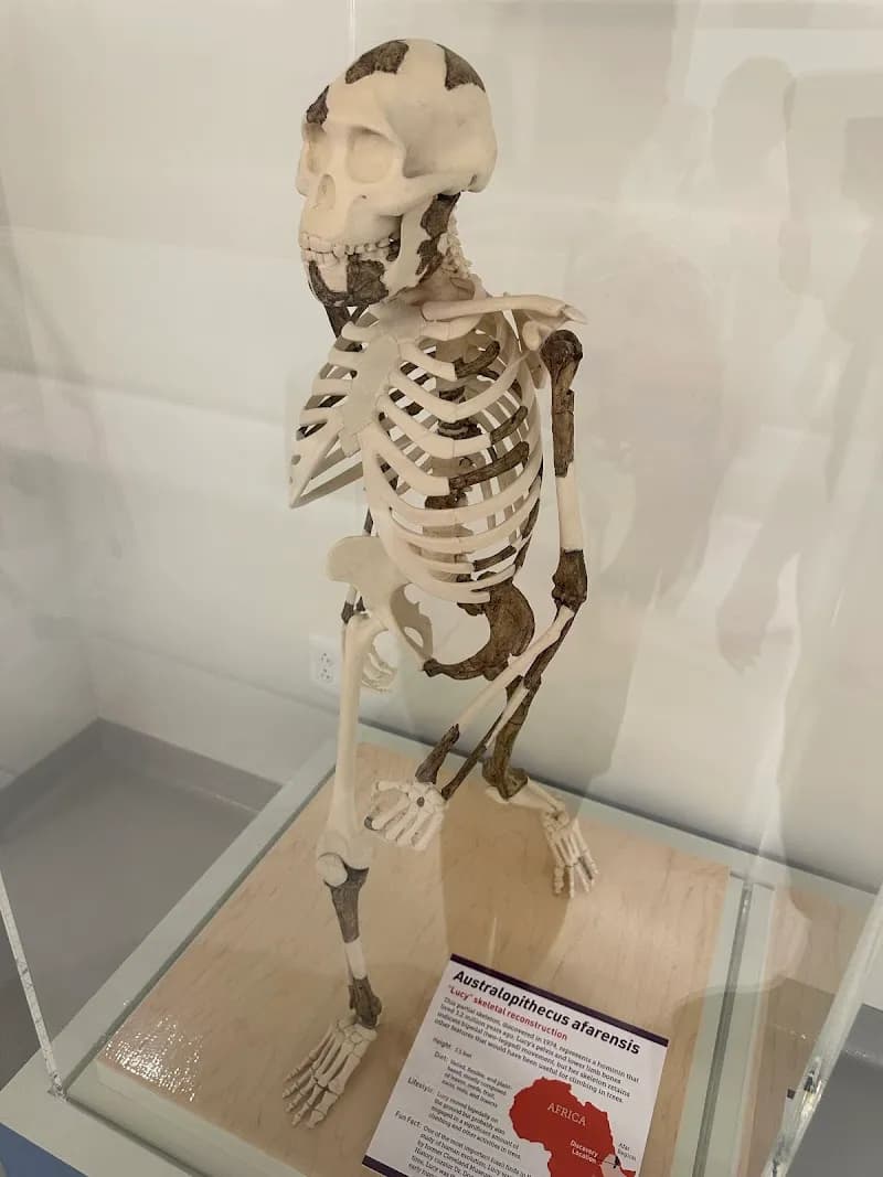 View of Cleveland Museum of Natural History in Cleveland, OH