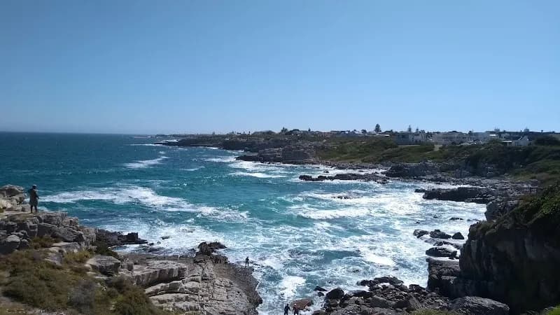 Cliff Path Coastal Walk outdoor adventure in Hermanus, WC
