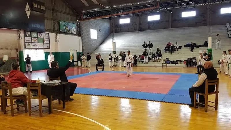 Club Municipality of the City of Vicente López association or organization in Vicente López, BA