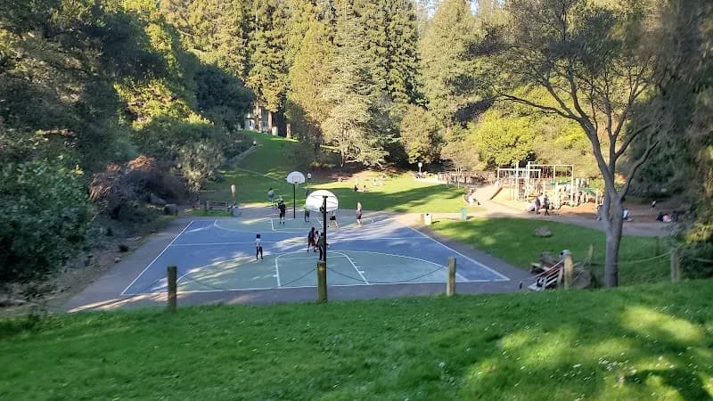 View of Codornices Park in Berkeley, CA