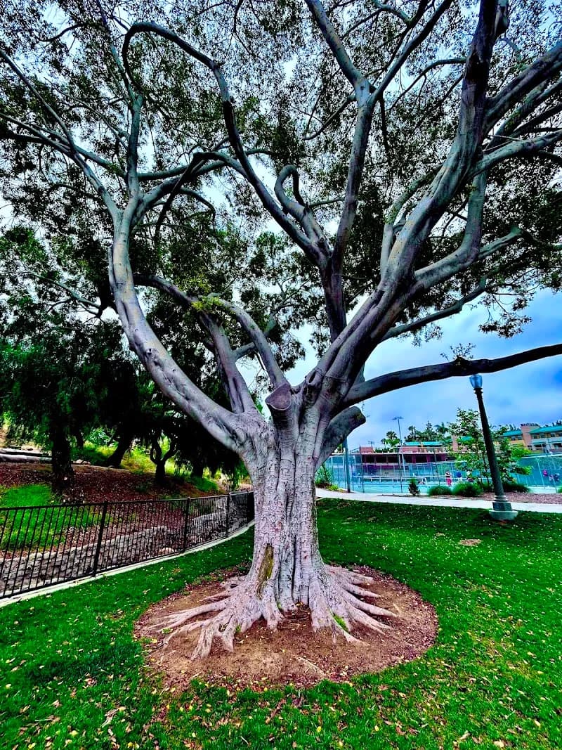View of Collier Park in La Mesa, CA