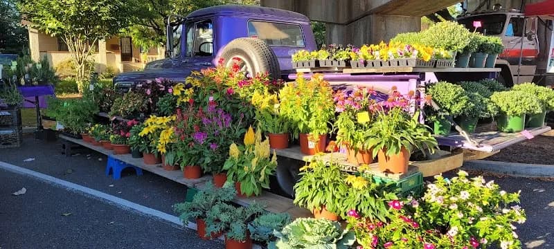 View of Collingswood Farmers' Market in Collingswood, NJ