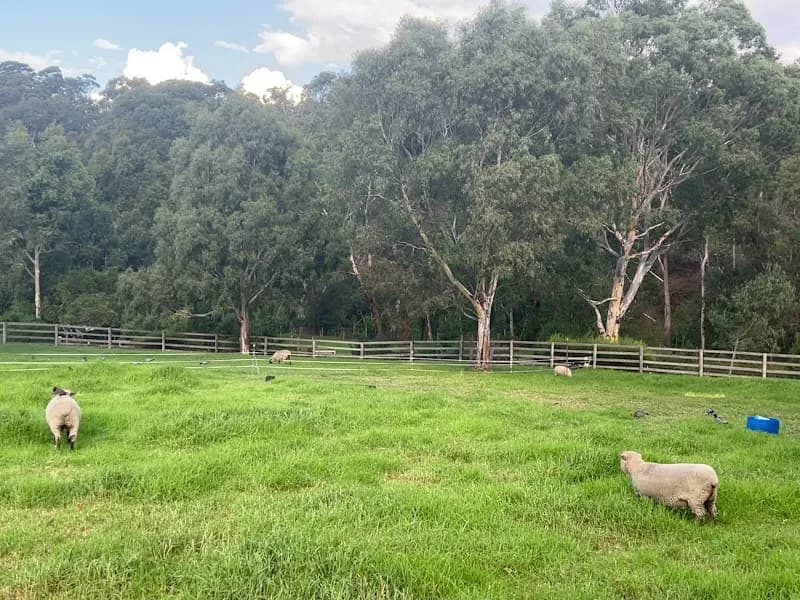 View of Collingwood Children's Farm in Melbourne, VIC