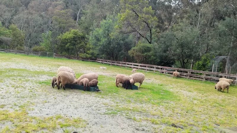 View of Collingwood Children's Farm in Melbourne, VIC
