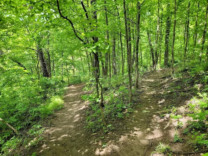 Comlara Park park in Springfield, IL