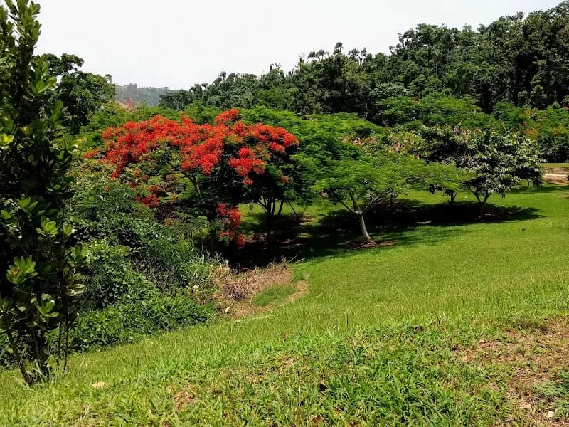 View of Complejo Deportivo de San Sebastián in San Sebastián, PR