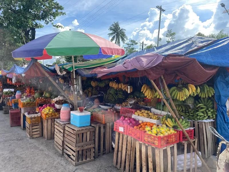 View of Compostela Organic Farm Experience in Compostela, CV