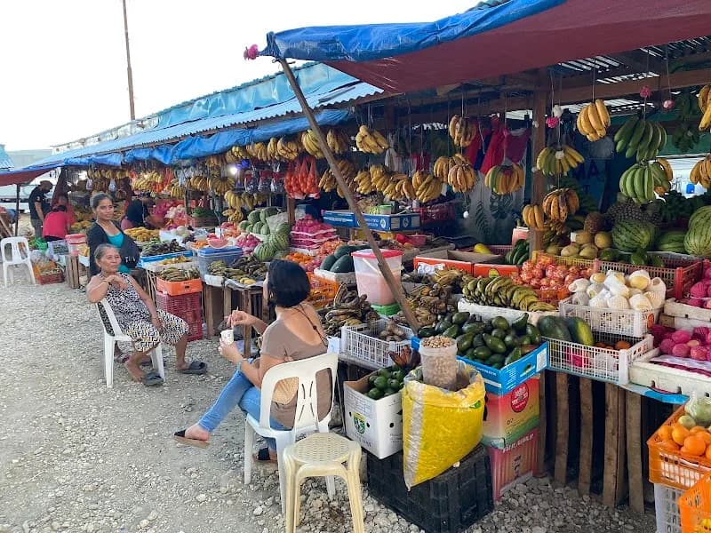 View of Compostela Organic Farm Experience in Compostela, CV