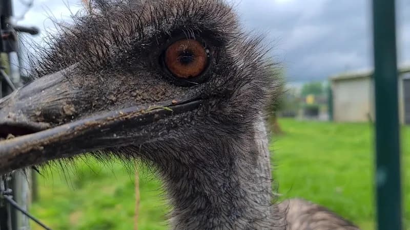 View of Confey Park in Maynooth, D