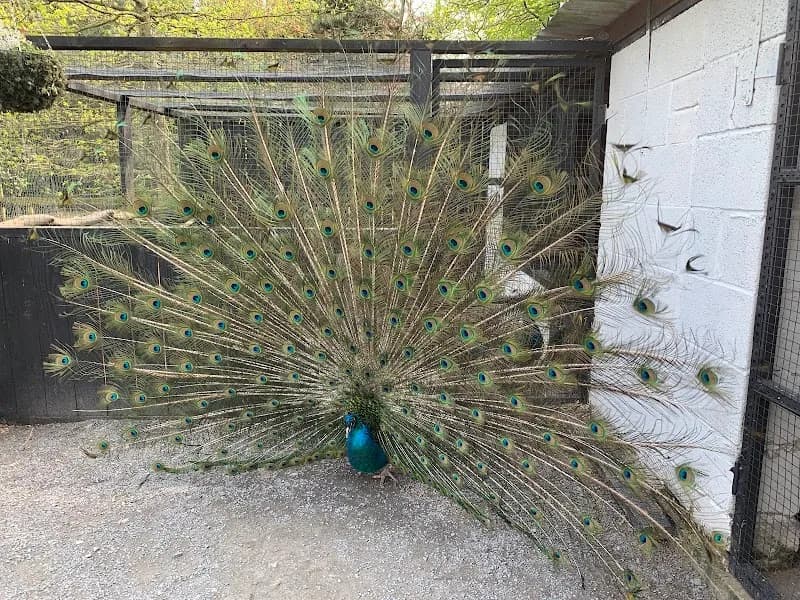 View of Confey Park in Maynooth, D