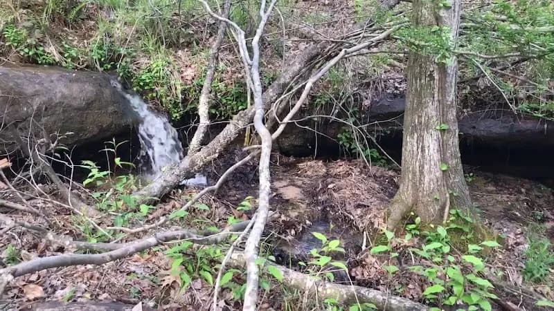 View of Corinth Recreation Area in Double Springs, AL