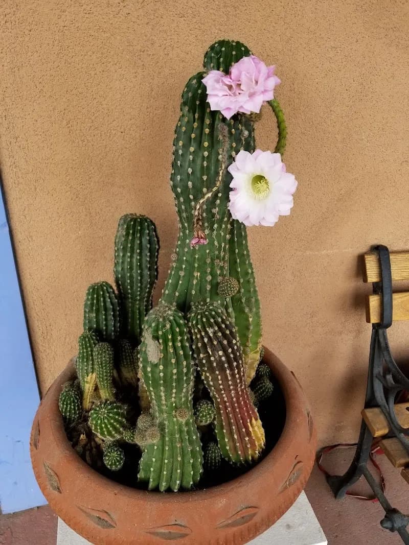 View of Corrales Bosque Gallery in Corrales, NM