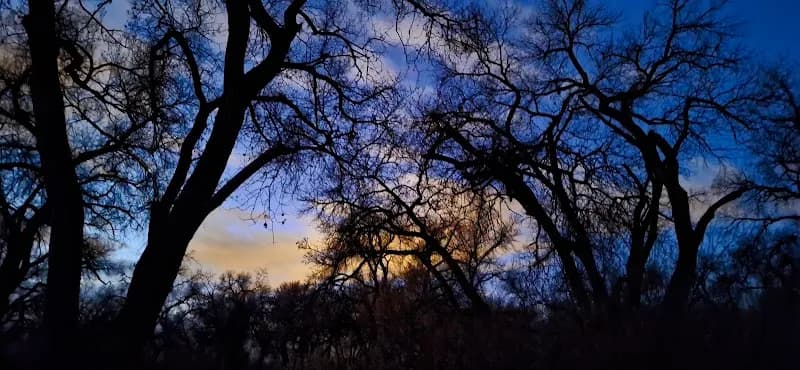 View of Corrales Bosque Preserve in Corrales, NM