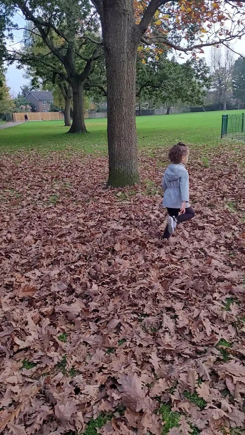 View of Court Recreation Ground in Epsom, London
