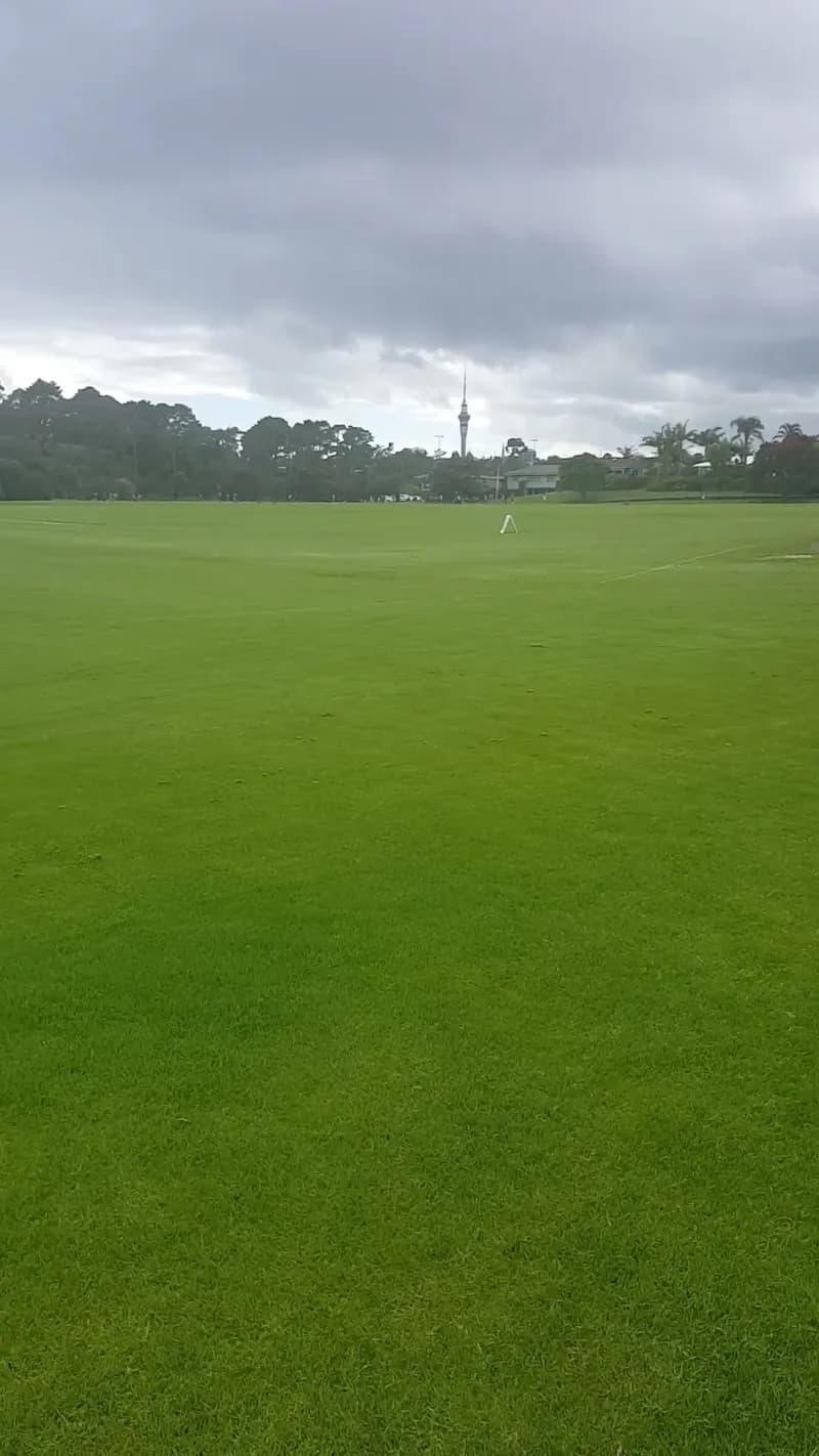 View of Cox's Bay Reserve in Ponsonby, AKL