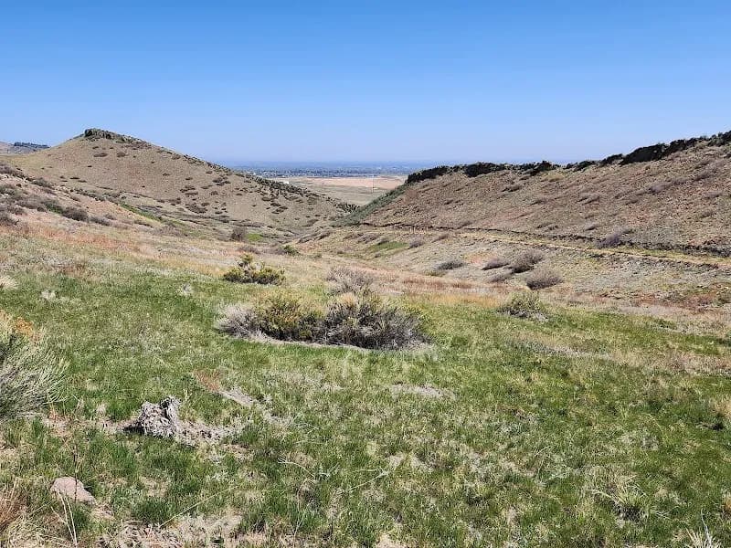 View of Coyote Ridge Natural Area in Highlands Ranch, CO