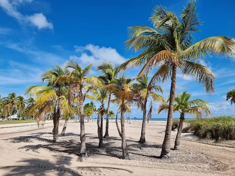 View of Crandon Park in Key Biscayne, FL