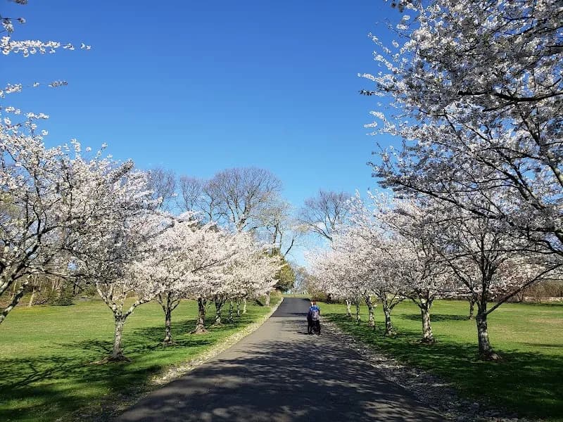 View of Crawford Park in Rye, NY