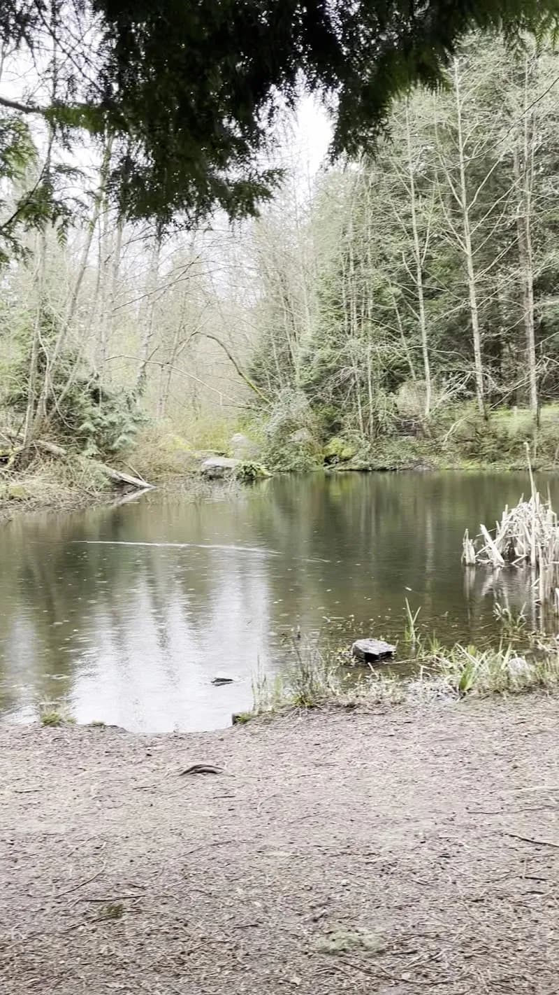 View of Crescent Park in Surrey, BC