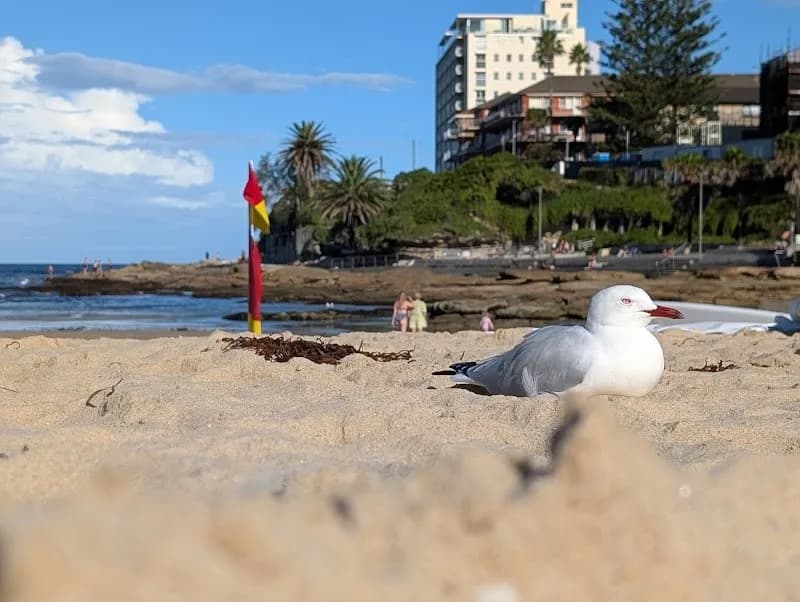 View of Cronulla Park in Cronulla, NSW