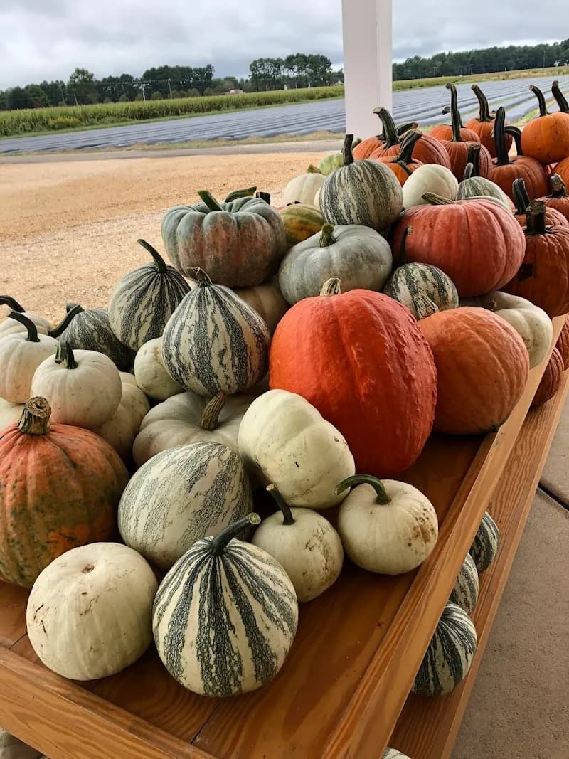 View of Cullipher Farm in Pungo, VA