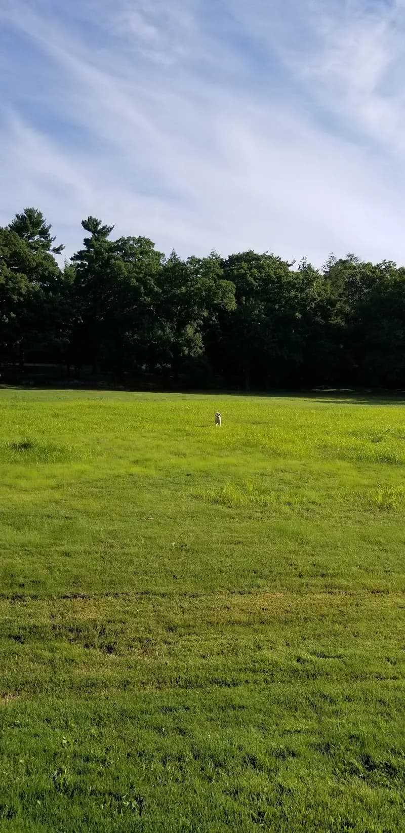 View of Cunningham Park in Milton, MA