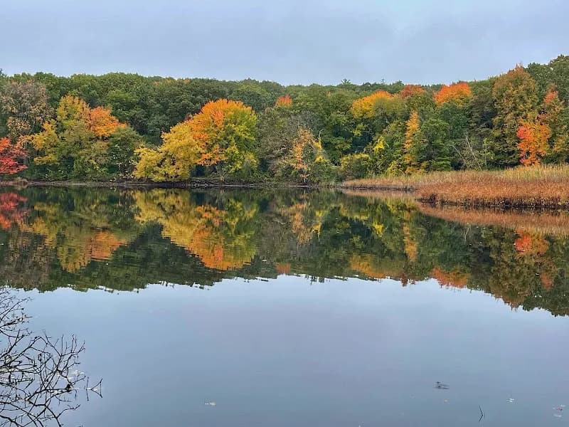 View of Cutler Park Reservation in Needham, MA