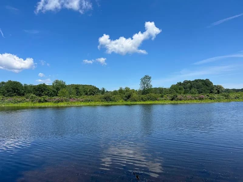 View of Cutler Park Reservation in Needham, MA