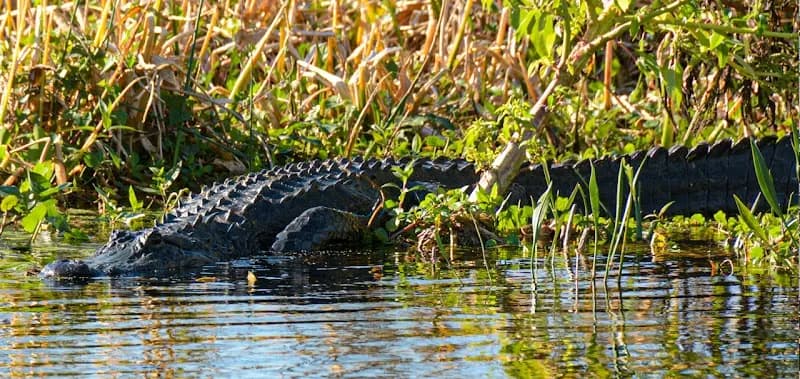 View of Cypress Creek Farms LLC in Boca Raton, FL