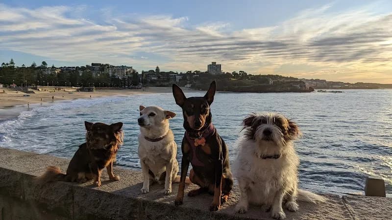 Damp Blanket Distillery Precinct attraction in Coogee, NSW