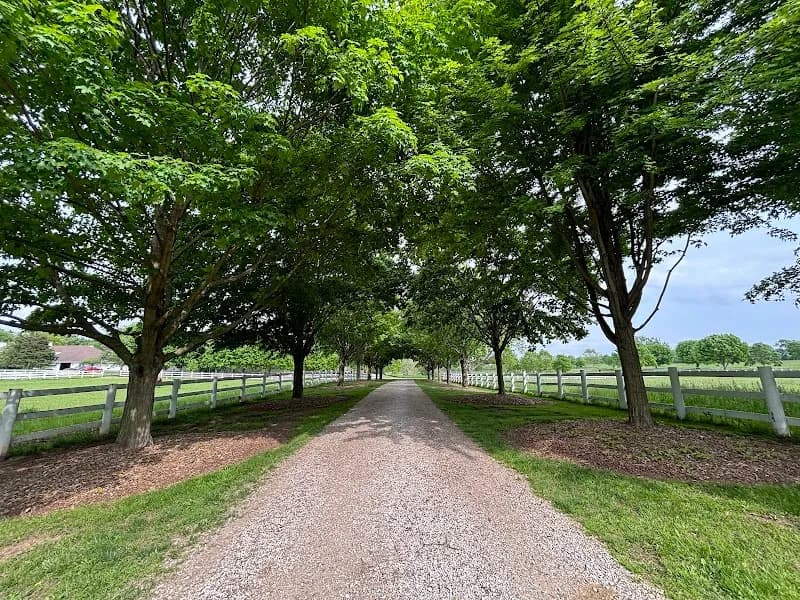 View of Danada Forest Preserve in Wheaton, IL