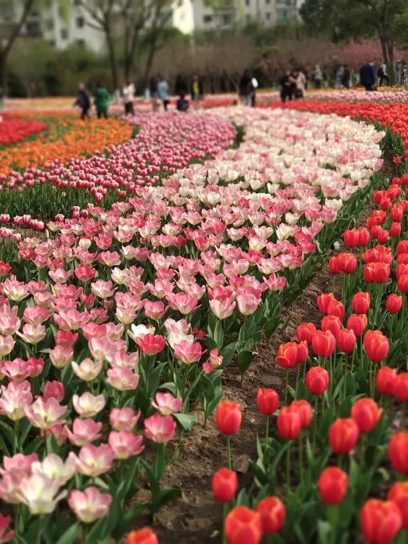 Daning Lingshi Park (West Gate) park in Yangpu, SH