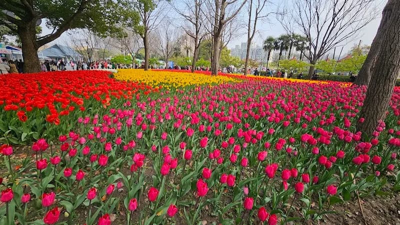 View of Daning Lingshi Park (West Gate) in Yangpu, SH