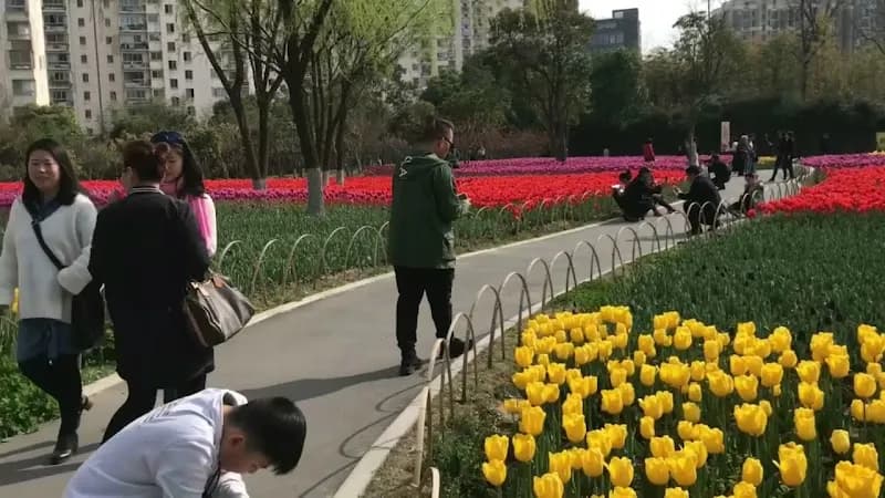 View of Daning Lingshi Park (West Gate) in Yangpu, SH