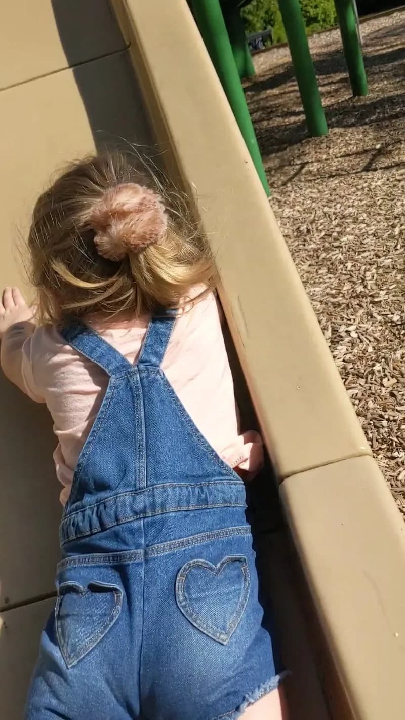 View of David Brown Park in Coquitlam, BC