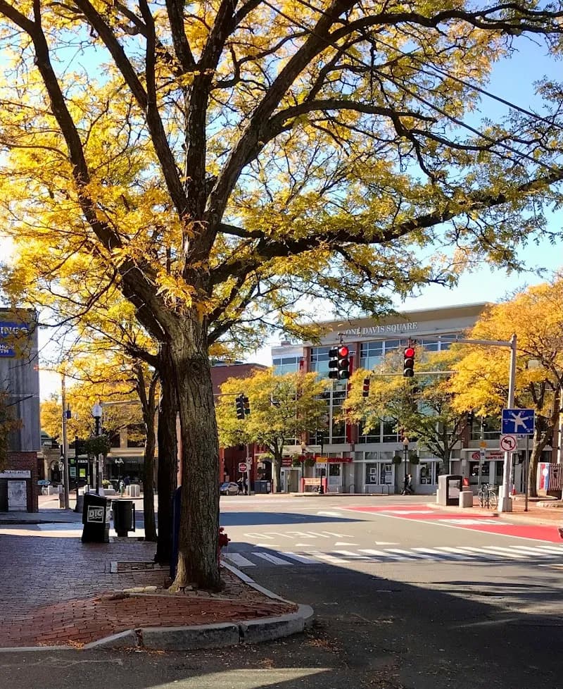 View of Davis Square in Somerville, MA