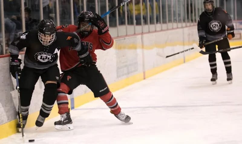 View of Dearborn Ice Skating Center in Dearborn, MI