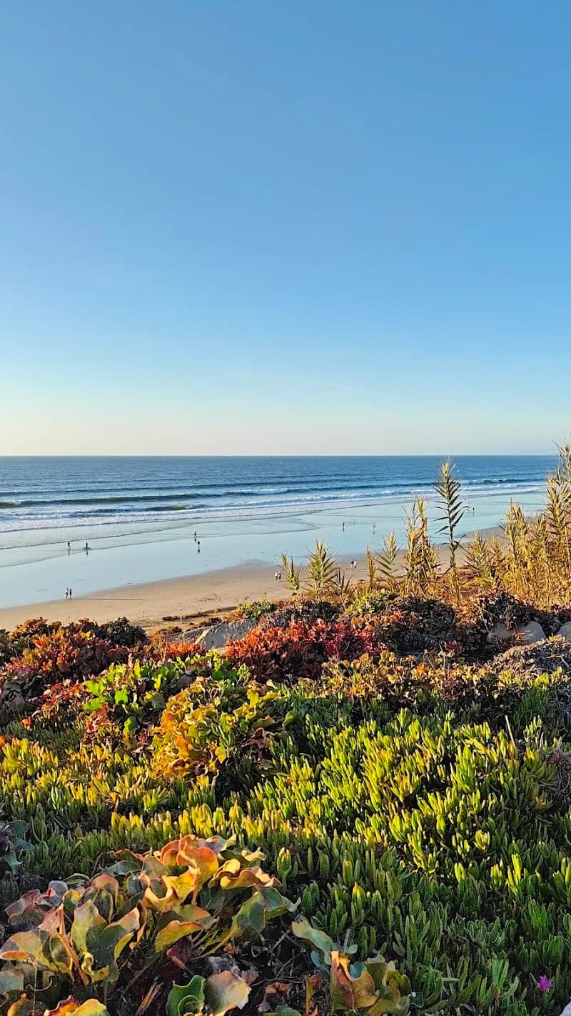 View of Del Mar North Beach in Del Mar, CA