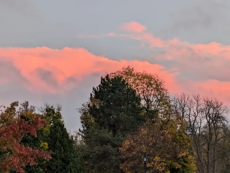 View of Delaware Park in Buffalo, NY