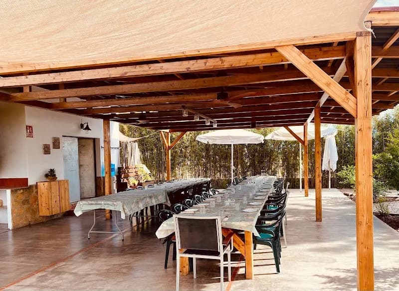 View of Descubre l'Horta - Visitas guiadas a la huerta orgánica y Taller de Paella Valenciana in Valencia, VC