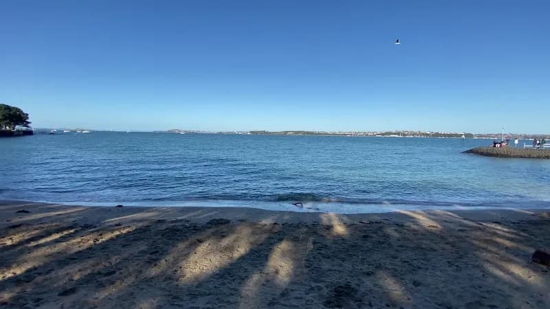 View of Devonport Beach in Devonport, AKL